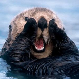 Meet your Posher, Zoey